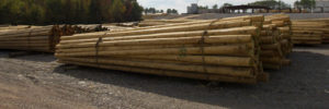 treated wood poles utility power poles powerline poles electric utility pole distribution poles