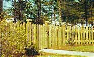 Privacy Fence